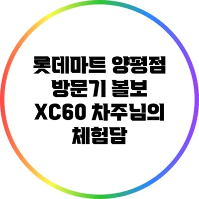 롯데마트 양평점 방문기: 볼보 XC60 차주님의 체험담