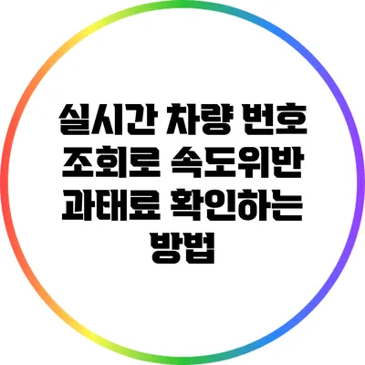 실시간 차량 번호 조회로 속도위반 과태료 확인하는 방법
