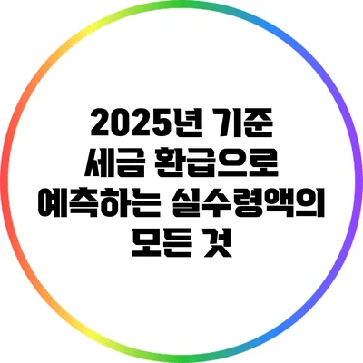 2025년 기준 세금 환급으로 예측하는 실수령액의 모든 것