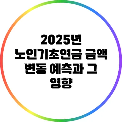 2025년 노인기초연금 금액 변동 예측과 그 영향