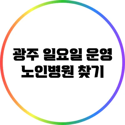 광주 일요일 운영 노인병원 찾기