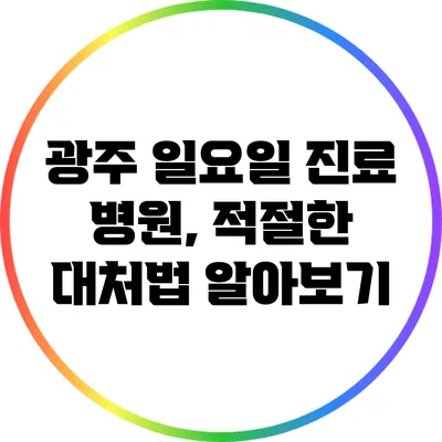 광주 일요일 진료 병원, 적절한 대처법 알아보기