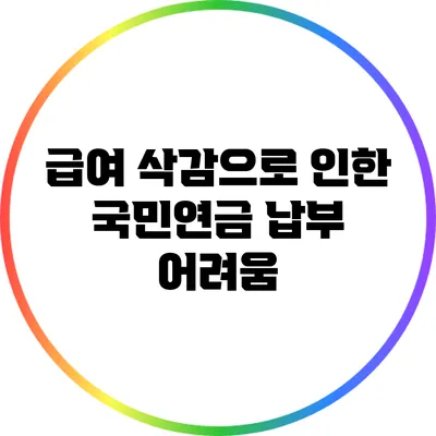 급여 삭감으로 인한 국민연금 납부 어려움