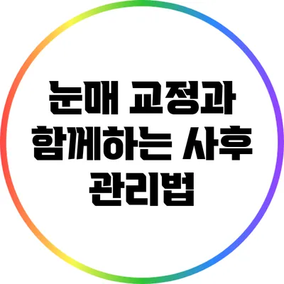 눈매 교정과 함께하는 사후 관리법