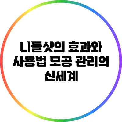 니들샷의 효과와 사용법: 모공 관리의 신세계
