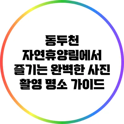 동두천 자연휴양림에서 즐기는 완벽한 사진 촬영 명소 가이드