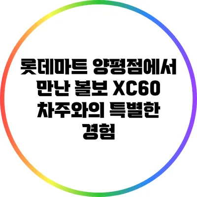 롯데마트 양평점에서 만난 볼보 XC60 차주와의 특별한 경험