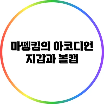 마뗑킴의 아코디언 지갑과 볼캡