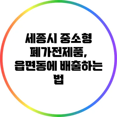 세종시 중소형 폐가전제품, 읍면동에 배출하는 법