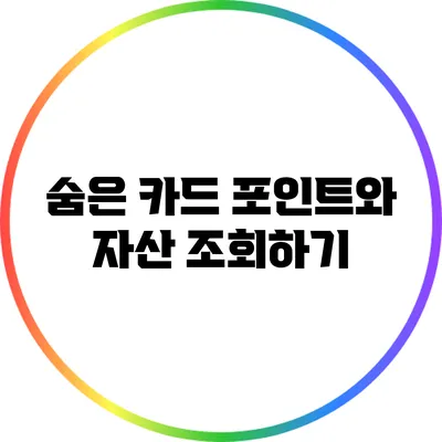 숨은 카드 포인트와 자산 조회하기