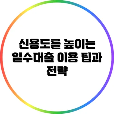 신용도를 높이는 일수대출 이용 팁과 전략
