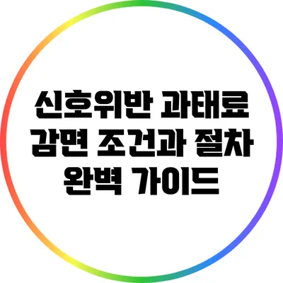 신호위반 과태료 감면 조건과 절차 완벽 가이드