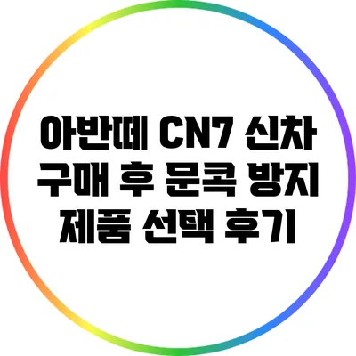 아반떼 CN7 신차 구매 후 문콕 방지 제품 선택 후기