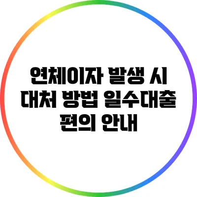 연체이자 발생 시 대처 방법: 일수대출 편의 안내