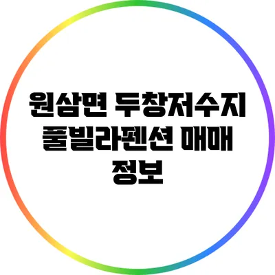 원삼면 두창저수지 풀빌라펜션 매매 정보