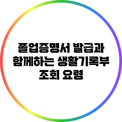 졸업증명서 발급과 함께하는 생활기록부 조회 요령