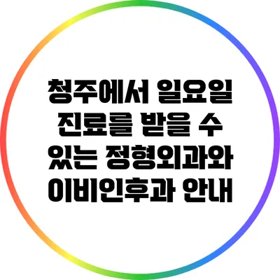 청주에서 일요일 진료를 받을 수 있는 정형외과와 이비인후과 안내