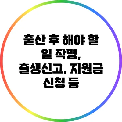 출산 후 해야 할 일: 작명, 출생신고, 지원금 신청 등