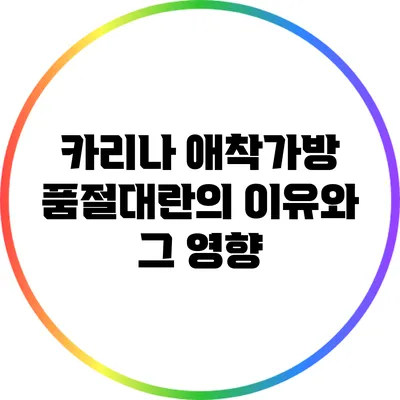 카리나 애착가방: 품절대란의 이유와 그 영향