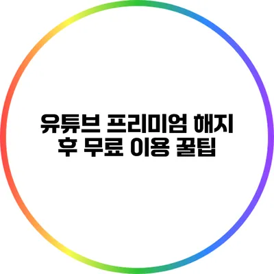 유튜브 프리미엄 해지 후 무료 이용 꿀팁