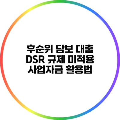 후순위 담보 대출 DSR 규제 미적용 사업자금 활용법