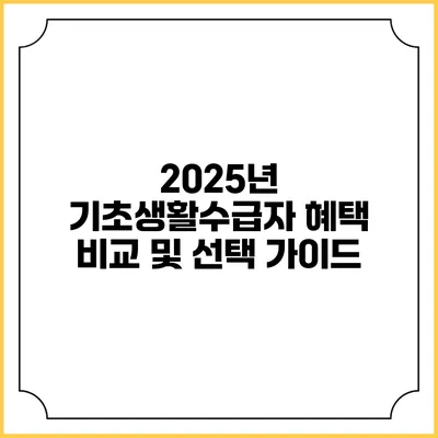 2025년 기초생활수급자 혜택 비교 및 선택 가이드