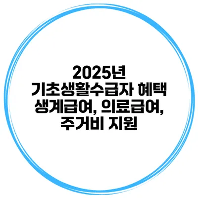 2025년 기초생활수급자 혜택 생계급여, 의료급여, 주거비 지원