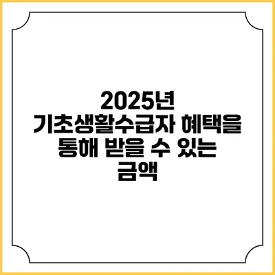 2025년 기초생활수급자 혜택을 통해 받을 수 있는 금액