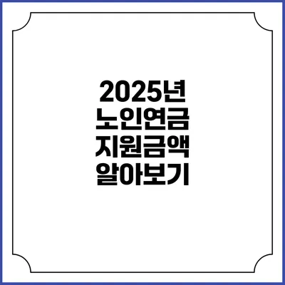 2025년 노인연금 지원금액 알아보기