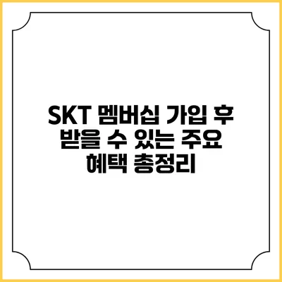 SKT 멤버십 가입 후 받을 수 있는 주요 혜택 총정리