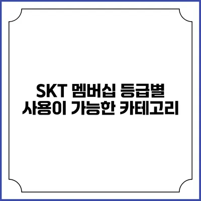 SKT 멤버십 등급별 사용이 가능한 카테고리