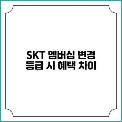 SKT 멤버십 변경 등급 시 혜택 차이