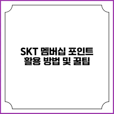 SKT 멤버십 포인트 활용 방법 및 꿀팁