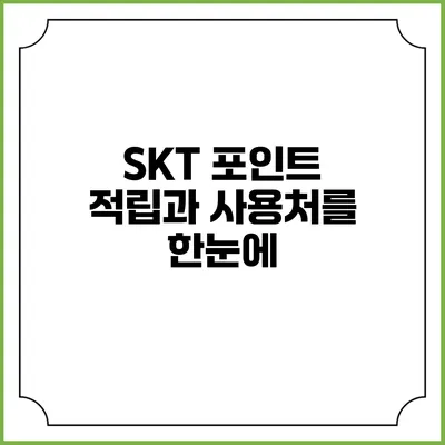 SKT 포인트 적립과 사용처를 한눈에