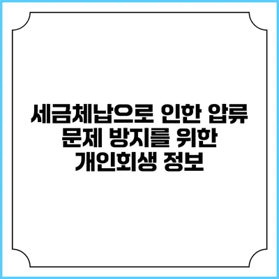 세금체납으로 인한 압류 문제 방지를 위한 개인회생 정보