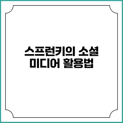 스프런키의 소셜 미디어 활용법