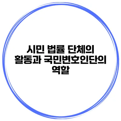 시민 법률 단체의 활동과 국민변호인단의 역할