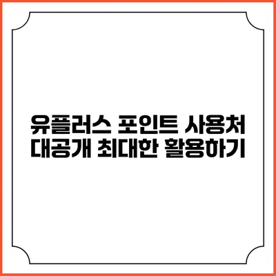 유플러스 포인트 사용처 대공개 최대한 활용하기