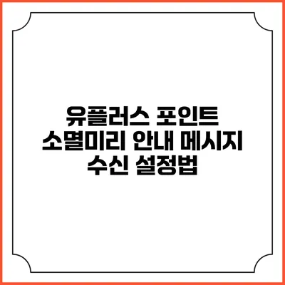 유플러스 포인트 소멸미리 안내 메시지 수신 설정법
