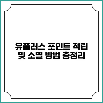 유플러스 포인트 적립 및 소멸 방법 총정리