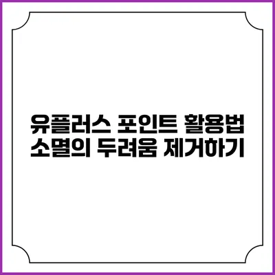 유플러스 포인트 활용법 소멸의 두려움 제거하기