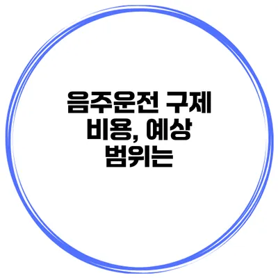 음주운전 구제 비용, 예상 범위는?