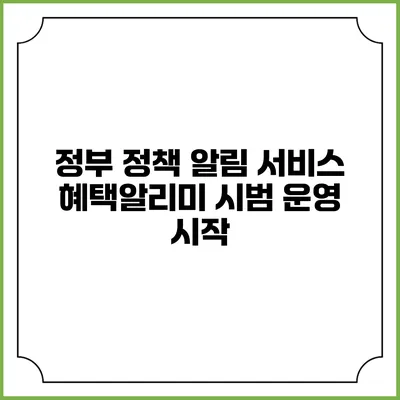 정부 정책 알림 서비스 혜택알리미 시범 운영 시작