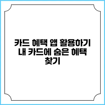 카드 혜택 앱 활용하기 내 카드에 숨은 혜택 찾기