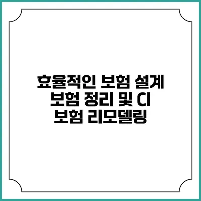 효율적인 보험 설계: 보험 정리 및 CI 보험 리모델링