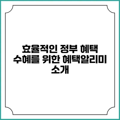 효율적인 정부 혜택 수혜를 위한 혜택알리미 소개