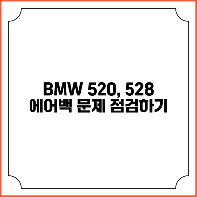BMW 520, 528 에어백 문제 점검하기