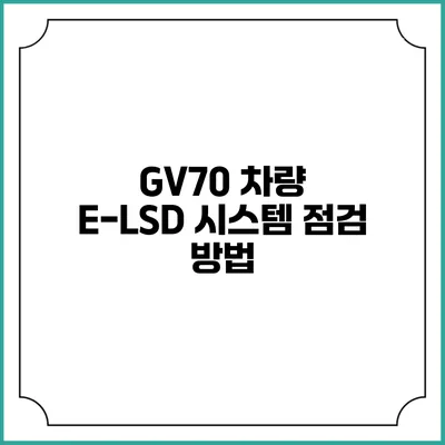 GV70 차량 E-LSD 시스템 점검 방법