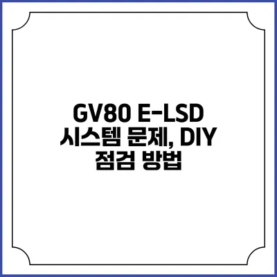 GV80 E-LSD 시스템 문제, DIY 점검 방법