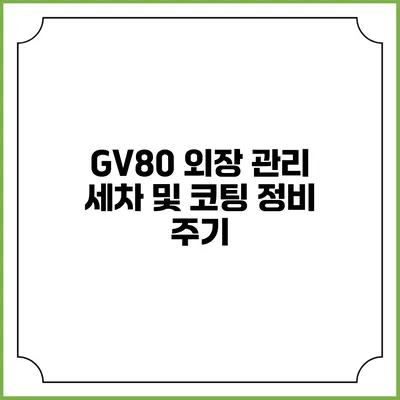 GV80 외장 관리 세차 및 코팅 정비 주기